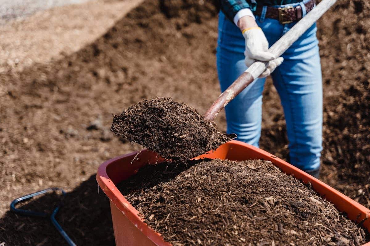 compost  cuisine